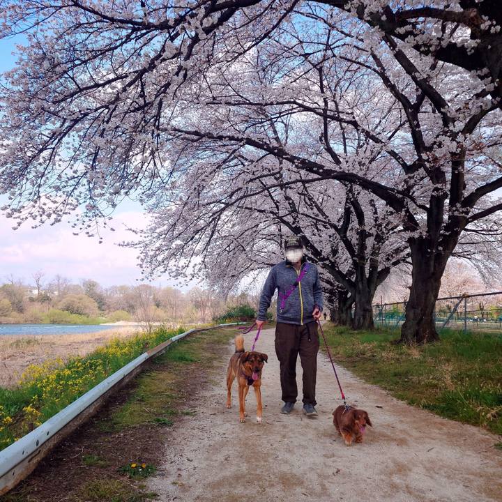 1a604b12 7657 4398 98dd 8182b93ded36 1743903100866