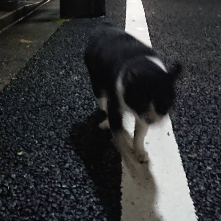 1a60721d c785 4224 b81e 7af368396c0f 1570890206272