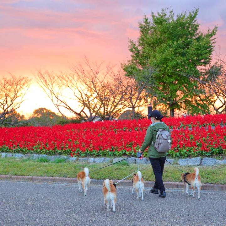 1a607355 8615 4e50 bb0a 7c0522d57a3d 1666711135672