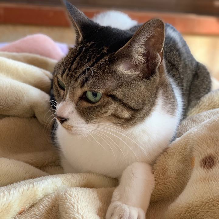 1a60d89e a368 4bc2 99b3 76c3efc37155 1543801857410