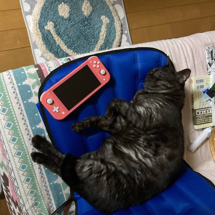 1a60f580 b5b7 4cd1 82cb 5bfc263520d1 1710712697635