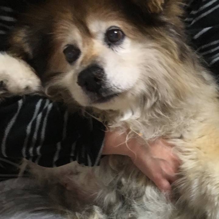 1a6162b4 9504 4688 b0d7 0f0f3730107d 1614838558293