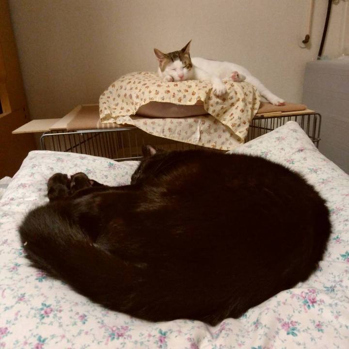 1a619eca b148 4007 8a08 0cac6a477b31 1657020840306