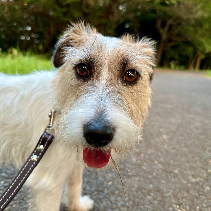 1a61a3b7 66ef 41eb a6c3 58c35c13ad16 1723692775852