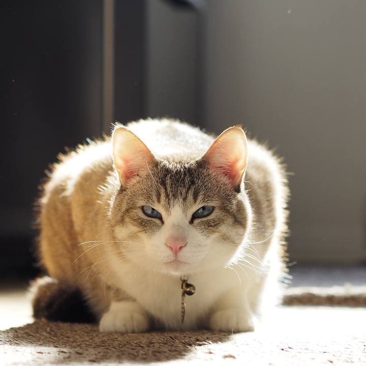 1a61b7d4 6c30 4025 b471 14cb7cf560d6 1650943319230