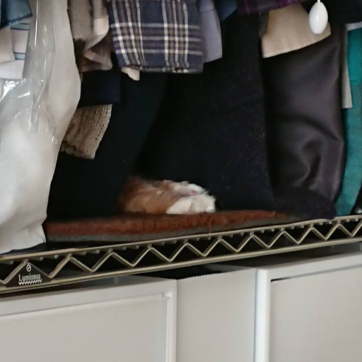 1a61e1d8 19db 4b8c 938b cb70488b5101 1547361884712