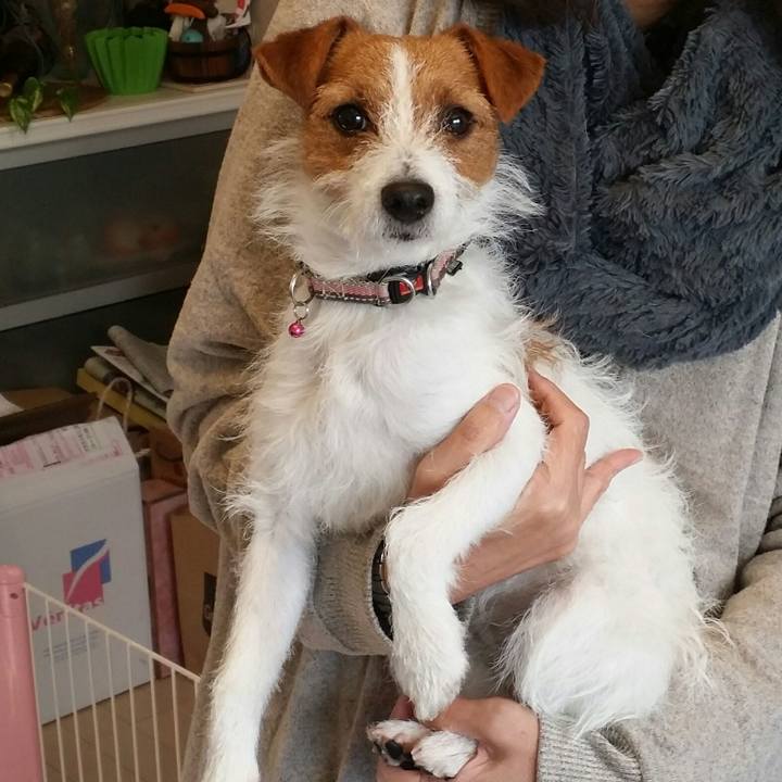 1a621f37 eaf8 49fc b3f8 03b39ffdc1f6 1513821429179