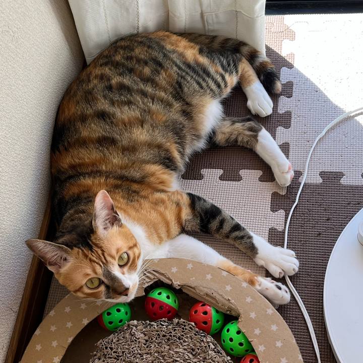 1a624b1e 925b 4600 8142 c8f1e85cd047 1693010186015