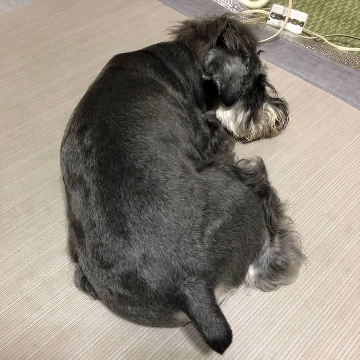 1a6259b0 efef 4b6a ad9e 3e142b2d3f55 1594211522766