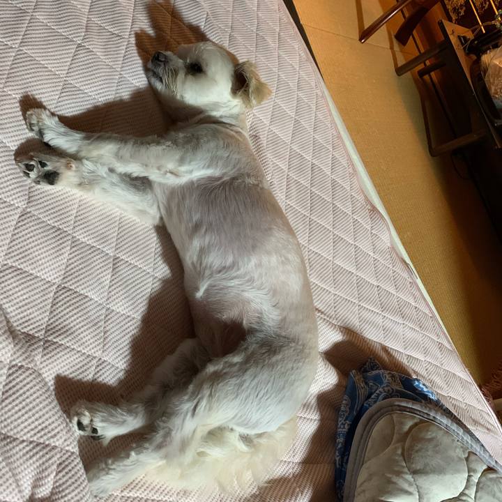 1a628663 18b7 4357 b34b 1b8da1041ad1 1629027402149