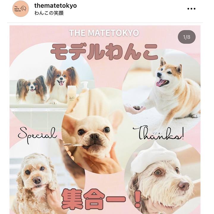 1a62a05e 6c49 4388 b0c4 40807ba78df4 1691488818279