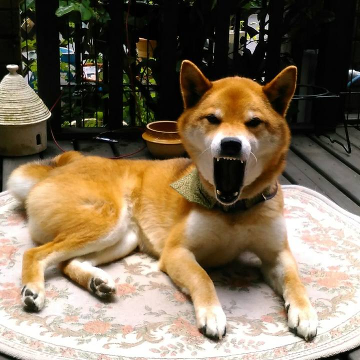 1a630712 f1fd 4000 ab43 d6e9a3918052 1527127901877