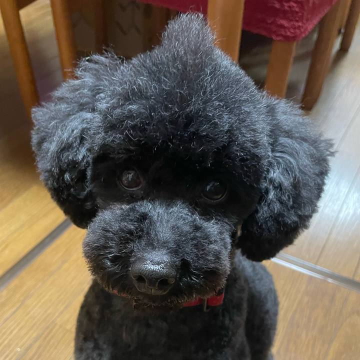 1a6352bd dbe9 4e83 80ba 48aa01d28767 1648269441983