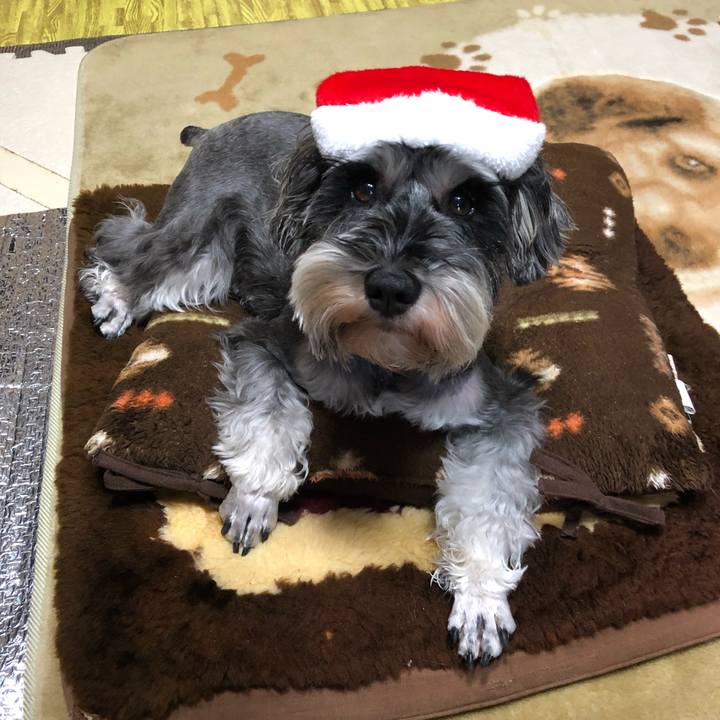 1a63a804 218b 4eeb 8f61 d068680925e4 1545618585140