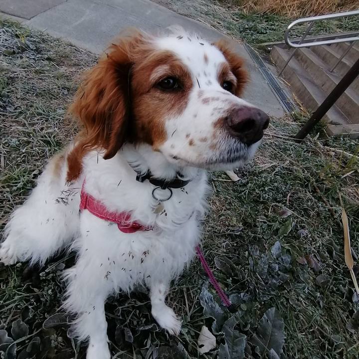 1a63be1e 49a0 45ba 8605 1c01fe5ac740 1608423520967