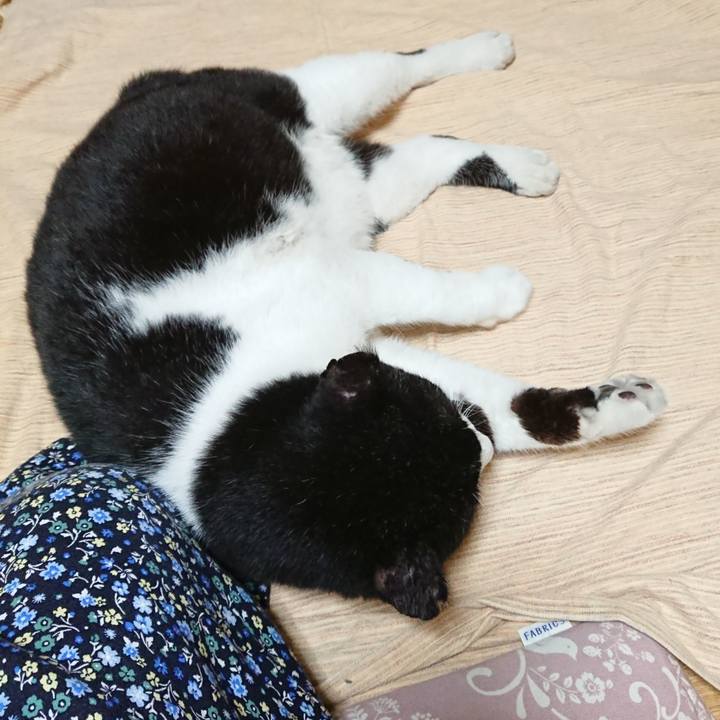 1a63bfdc 64f2 43dd a901 f8a4ad9b8971 1627132871893