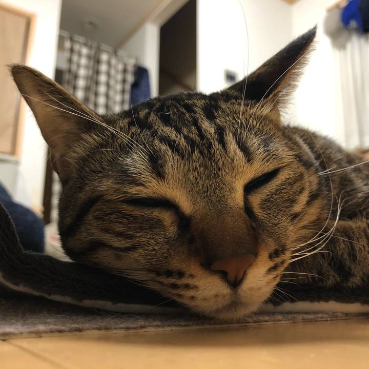 1a63e6c0 a9f8 4686 abd1 f4637ace8011 1551198424548