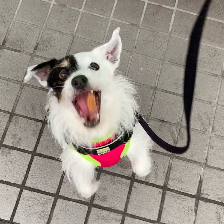 1a643532 d869 4733 b82a e6d6ba456b97 1715066341453