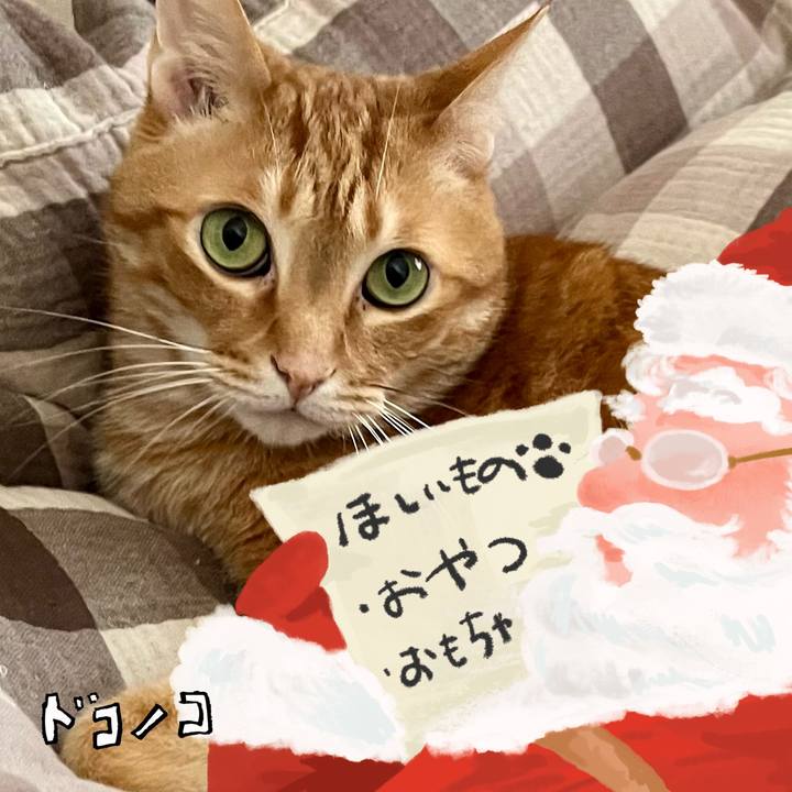 1a643ed0 064e 42d6 8e06 c7304399b791 1729121114105