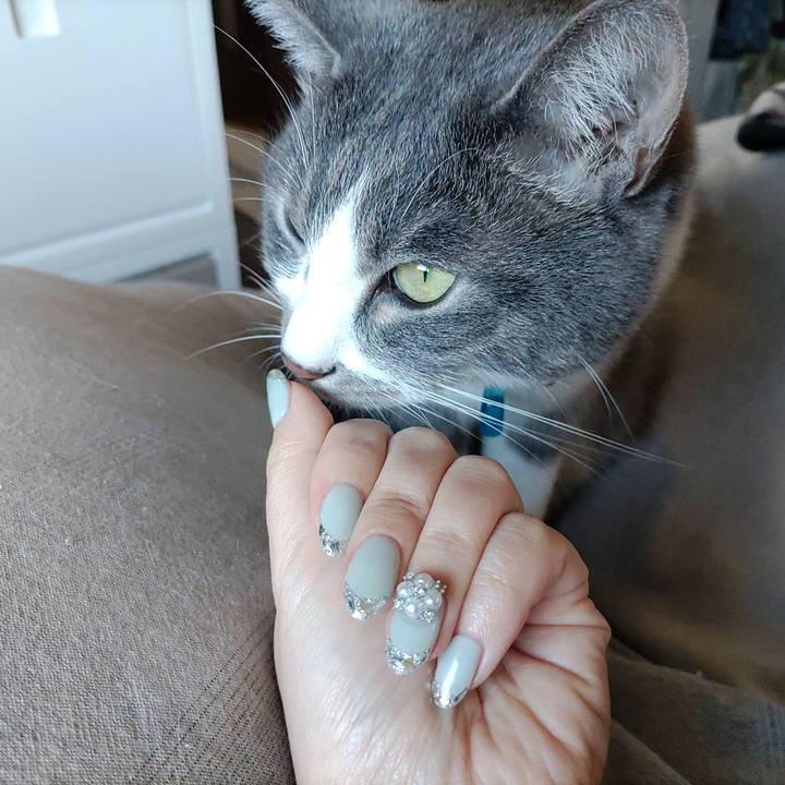 1a647ea0 9b80 43de 91a7 41cedb702367 1675479493910