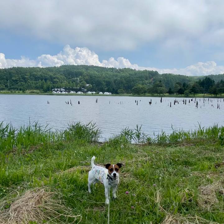 1a64806c 81e1 461d bf72 145146030add 1623742871435