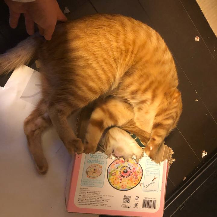 1a648dcd f50c 4ddd 880a 33b3dbf59b38 1634771592020