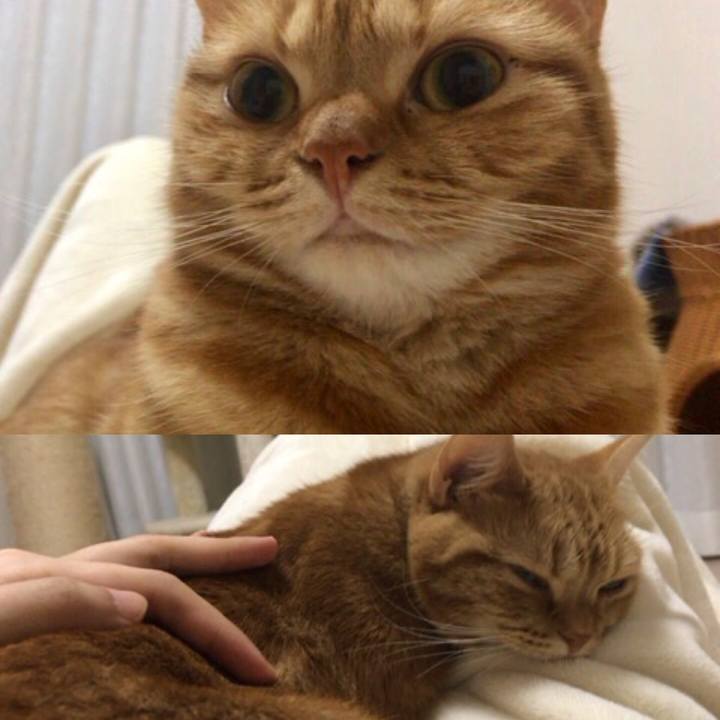 1a6490c5 2dbb 4b08 8599 9ce5cf23fa7d 1539505299636