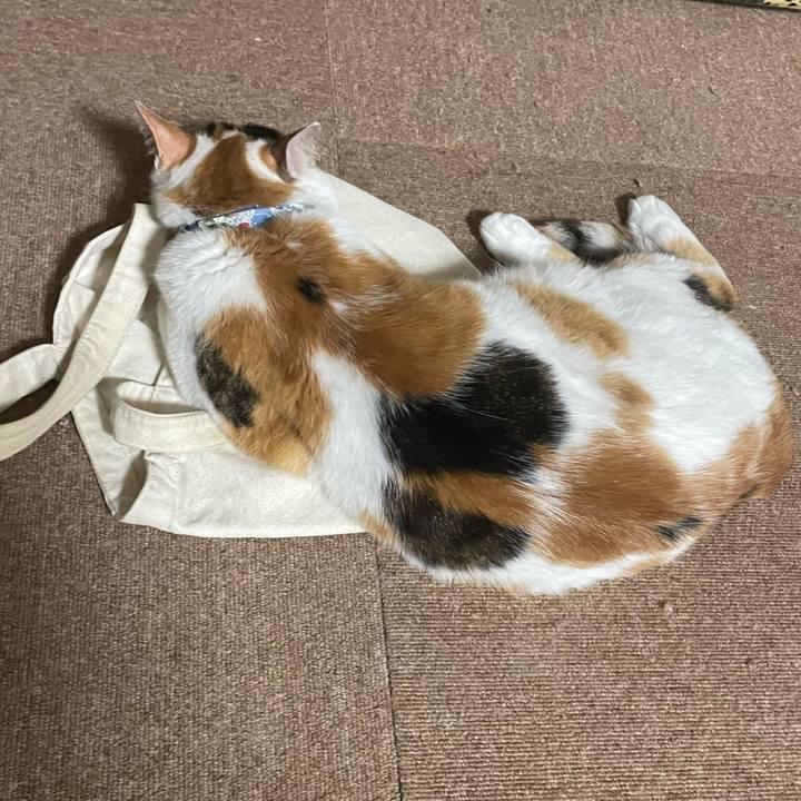 1a64b1e8 4b43 4a9e 8982 e7dcd0b63517 1716907243884