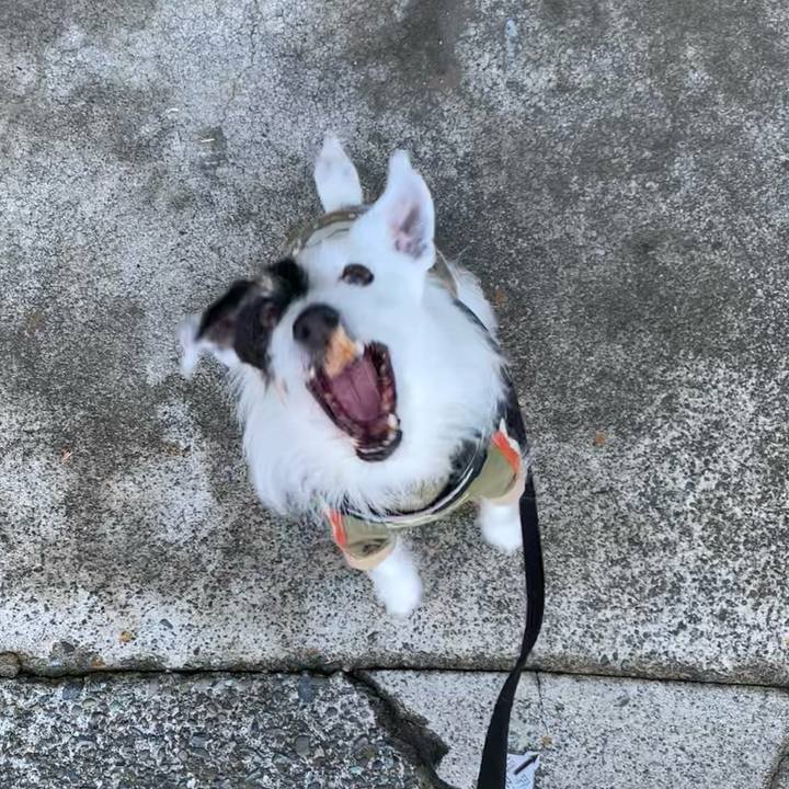 1a64eeeb 3cce 4b0b 87ed 99cc1792fc6c 1742172415349