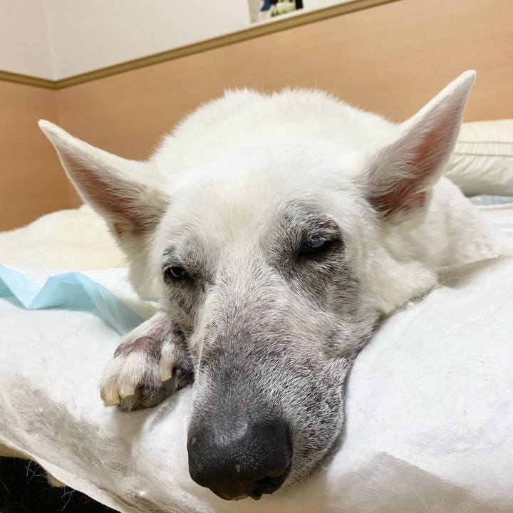 1a651af0 be06 4741 b53e 73a0ea4eac88 1679273853151