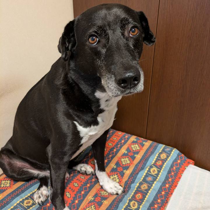 1a6551fa 7040 4196 beaa 2ec7fb002a8f 1719533784751