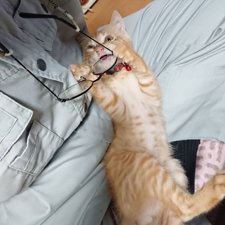 1a655770 5cae 479f bdf6 2df1b5fd63a5 1630359781577