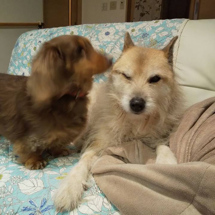 1a656260 9bb7 4caf 9cf8 9c5c64ae030a 1550399470467