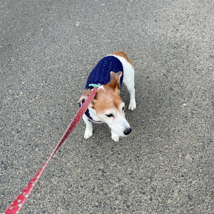 1a659022 bb9f 4d99 8ec8 ca5b959f0f12 1619150279668