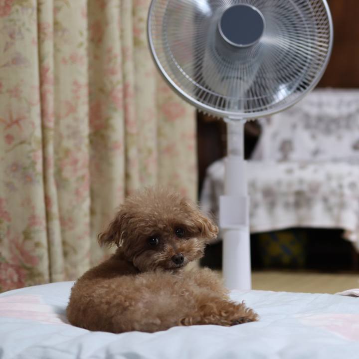 1a659484 cee6 489e b841 8cbfeba61dbd 1565869495718