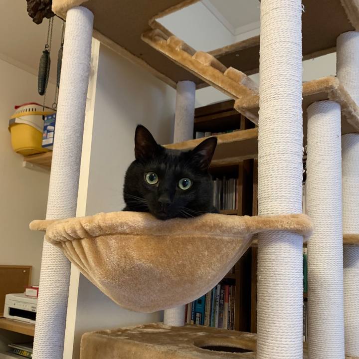 1a65a3cb f92f 4427 a23c d5e7134e8600 1589676004248