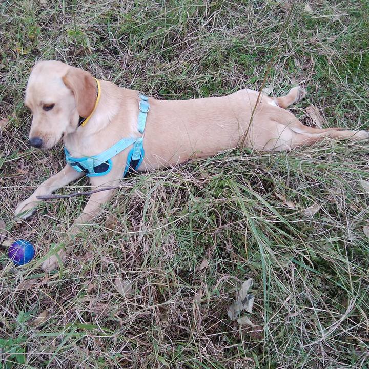 1a65bb04 22a4 49ba 85f4 fe2a5b545a23 1509424644690