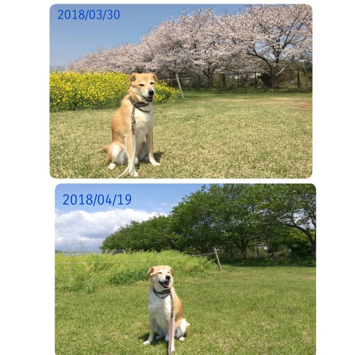 1a6608c1 181e 4ab2 b84d c3195e87a602 1524114574206