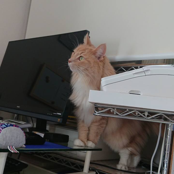 1a660d3a f513 455c a035 3781950a0c01 1575453121015