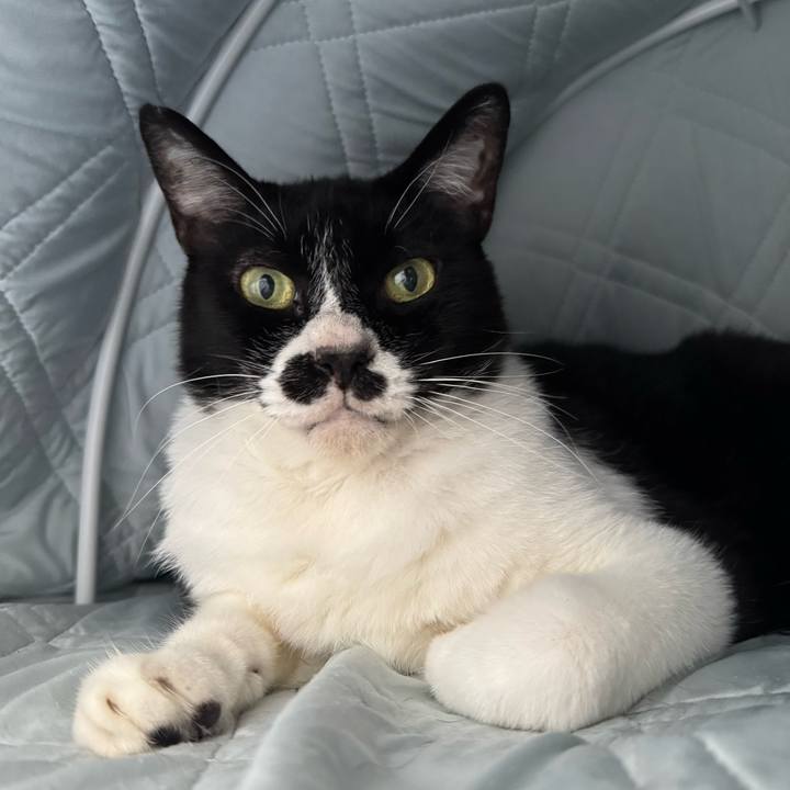 1a663b09 97a8 46f4 9040 c4cba0ac6e55 1751169340026