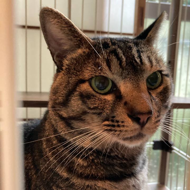 1a669652 6507 4188 ab8b d4e0ed9e691c 1664028036782