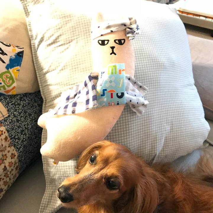 1a66c34e e14f 492f a7ab 012c555ecd4e 1536913985914