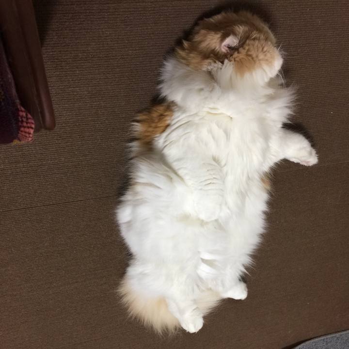 1a66d04d 4d7b 441c 9493 be156a6e6ef2 1587118350445