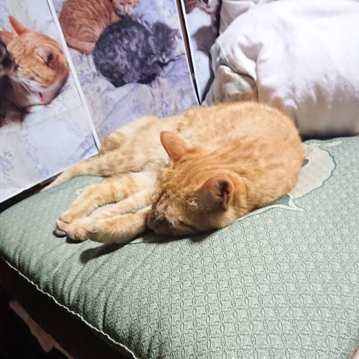 1a6717b5 9da6 4310 878d 641ab46b01de 1661171210818