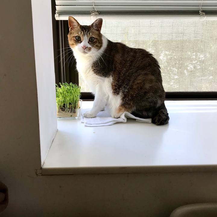 1a672630 acce 4195 a357 3d2c16d206c6 1554783588637