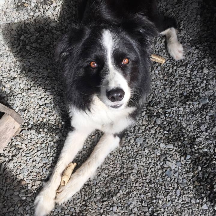 1a675edb 8583 4cdd 892f d37604e07236 1536971225591