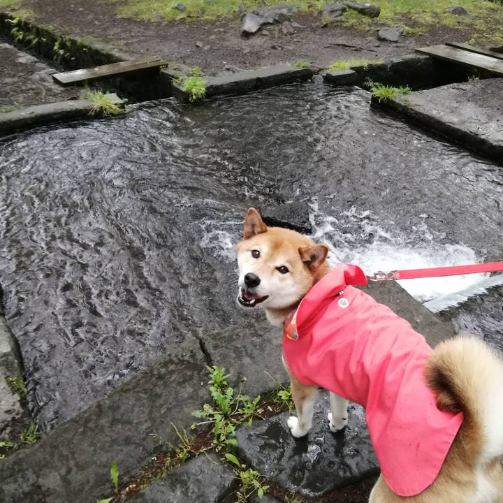 1a676ab3 3019 4b5a 9d5e a8b26692f72a 1621599071009