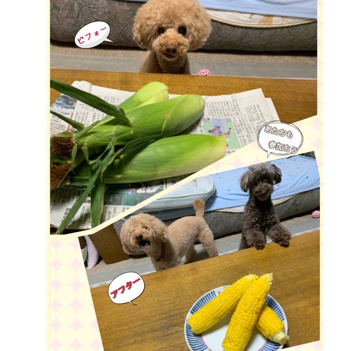 1a677ebf bcb5 415a a233 0d8643337923 1564749833524