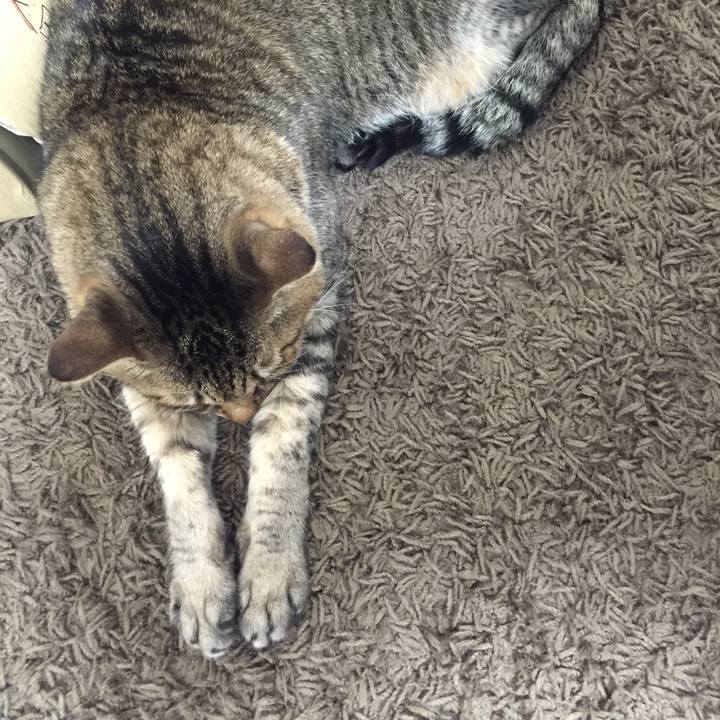 1a67bc19 e40f 4dfa 9c88 1cd820f57603 1593302256802