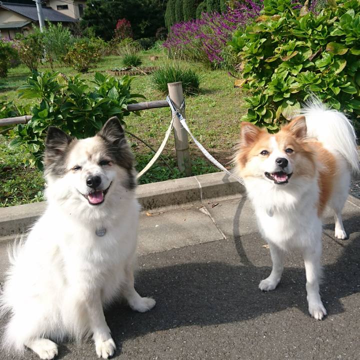 1a67d340 aedc 44c0 a287 364df081435c 1604143407867